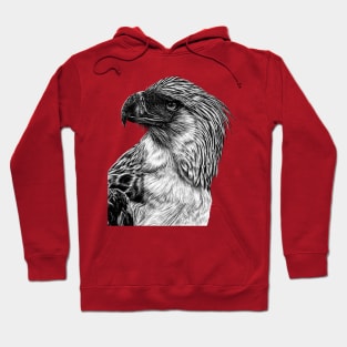 Philippine eagle illustration Hoodie